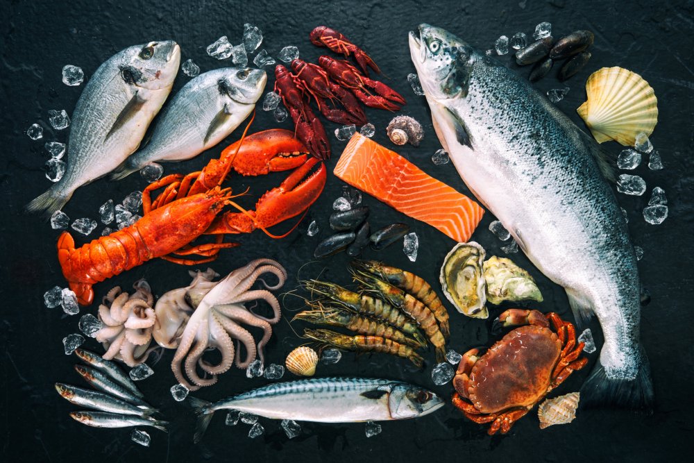 Poisson d'avril 01/04/2025 -19h-